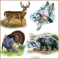 YK1071 Wildlife Medley Sticker Set YK1071 Wildlife Medley Sticker Set